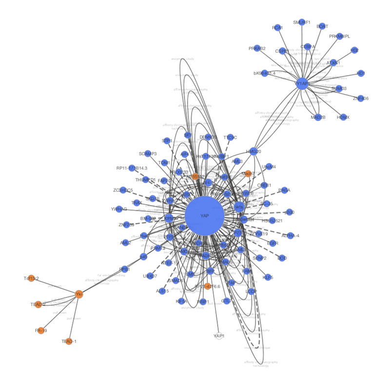 Cytoscape.js screenshot