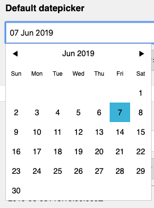 Vuejs-datepicker screenshot